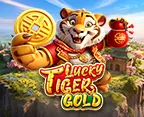 Lucky Tiger Gold